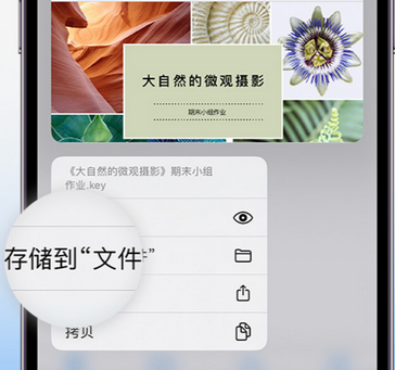 温岭apple维修中心分享iPhone文件应用中存储和找到下载文件