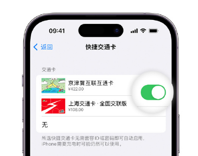 温岭apple维修点分享iPhone上更换Apple Pay快捷交通卡手绘卡面 