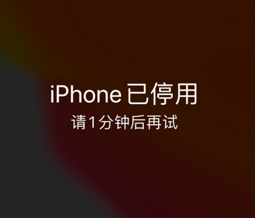 温岭苹果手机维修分享:iPhone 显示“不可用”或“已停用”怎么办？还能保留数据吗？ 