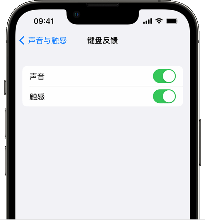 温岭苹果14维修店分享如何在 iPhone 14 机型中使用触感键盘 