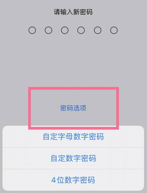 温岭苹果14维修分享iPhone 14plus设置密码的方法 