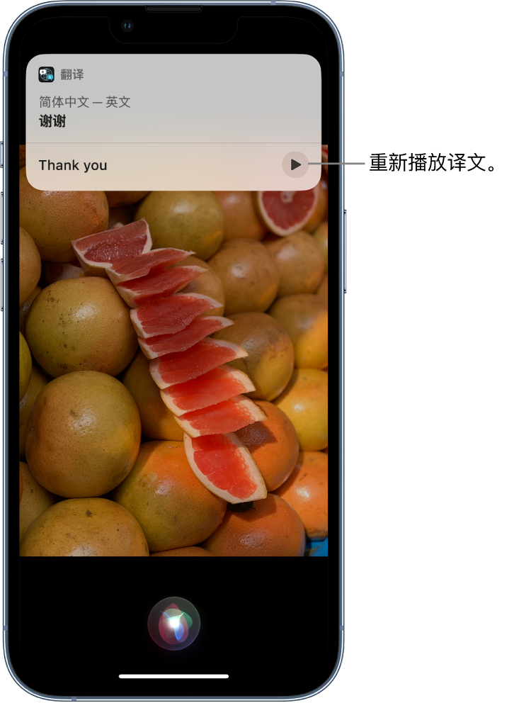 温岭苹果14维修分享 iPhone 14 机型中使用 Siri：了解 Siri 能帮你做什么 