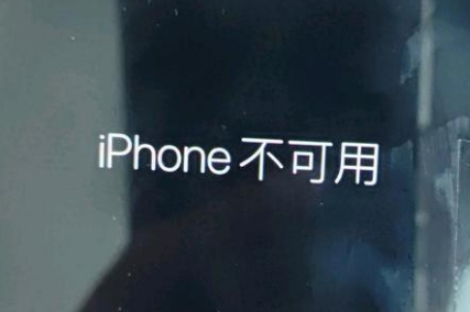 温岭苹果服务网点分享锁屏界面显示“iPhone 不可用”如何解决 