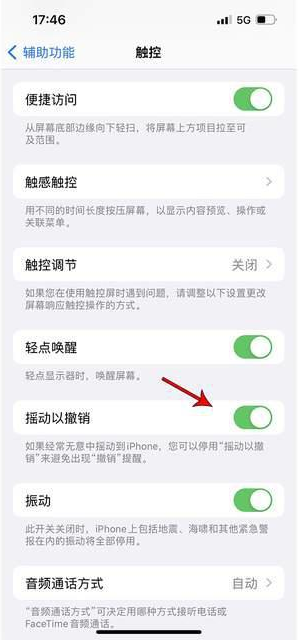 温岭苹果手机维修分享iPhone手机如何设置摇一摇删除文字 