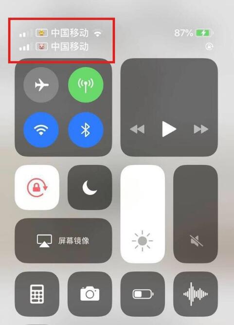 温岭苹果手机维修分享为 iPhone 12 双卡设置标签 